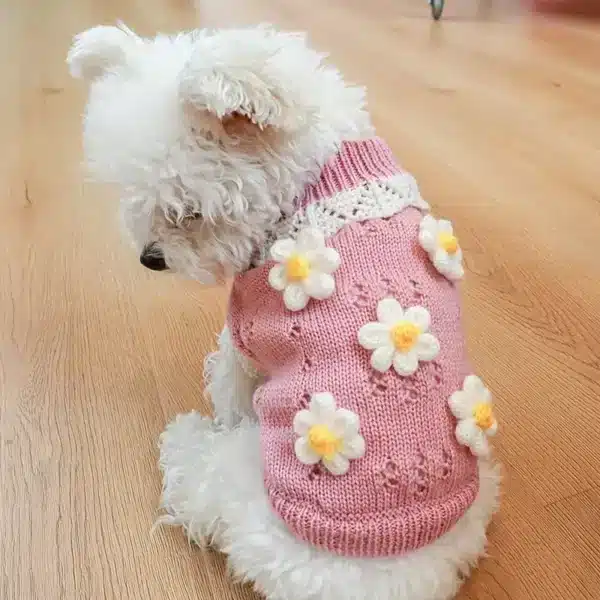 Vêtements imbibés pour chiens, costume de chiot, olympiques pour animaux de compagnie, accessoires pour chiens, tenues, fournitures de tenue, produits 1