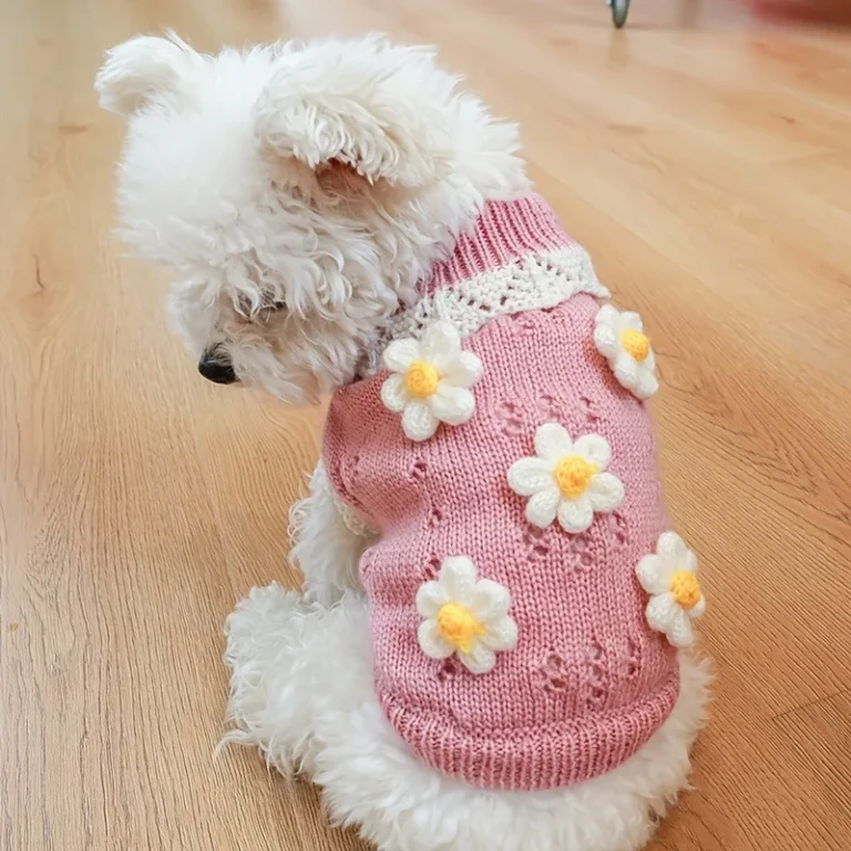Vêtements imbibés pour chiens, costume de chiot, olympiques pour animaux de compagnie, accessoires pour chiens, tenues, fournitures de tenue, produits 1