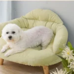 Canapé inclinable pour animaux de compagnie pour enfants, meubles pour animaux de compagnie, canapé pour chat, robuste, lavable, portable, assemblage de bricolage, intérieur, enfants