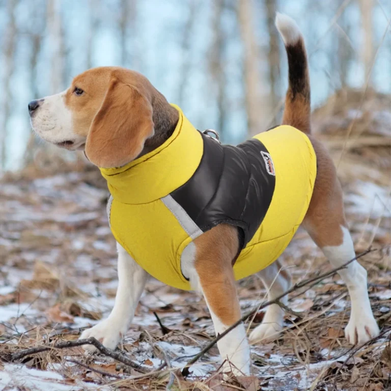 Veste imperméable pour chien, manteau de bouledogue français, glaçure chaude, olympiques de chiot, vêtements d'hiver de luxe, petits et grands chiens, chihuahua 3