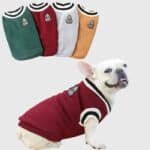 403958180-700×700-Photoroom (1)