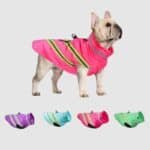 4106322439_cleanup (1)-Photoroom