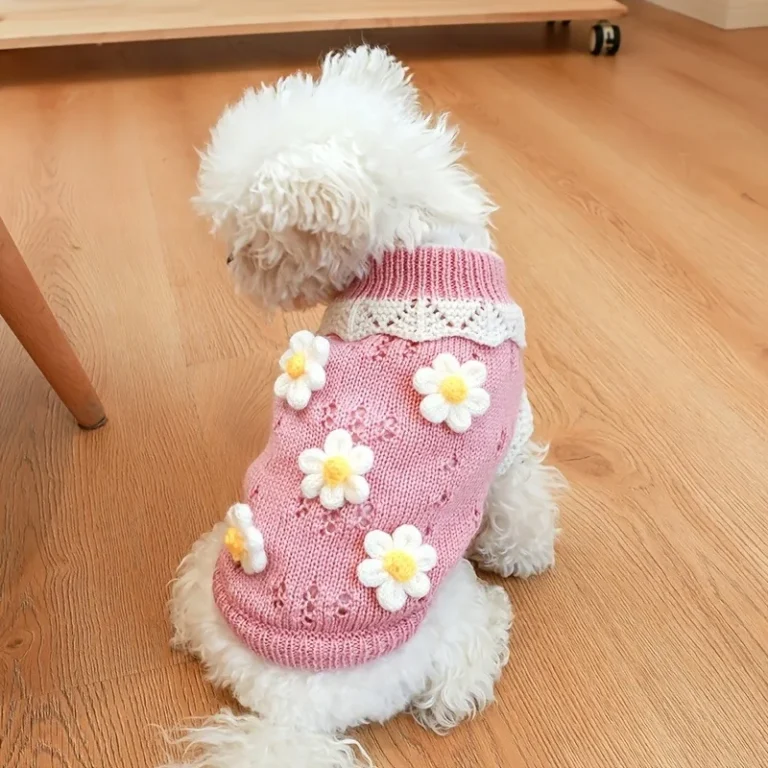 Vêtements imbibés pour chiens, costume de chiot, olympiques pour animaux de compagnie, accessoires pour chiens, tenues, fournitures de tenue, produits 2