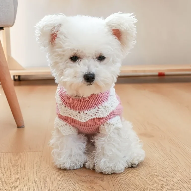 Vêtements imbibés pour chiens, costume de chiot, olympiques pour animaux de compagnie, accessoires pour chiens, tenues, fournitures de tenue, produits 5