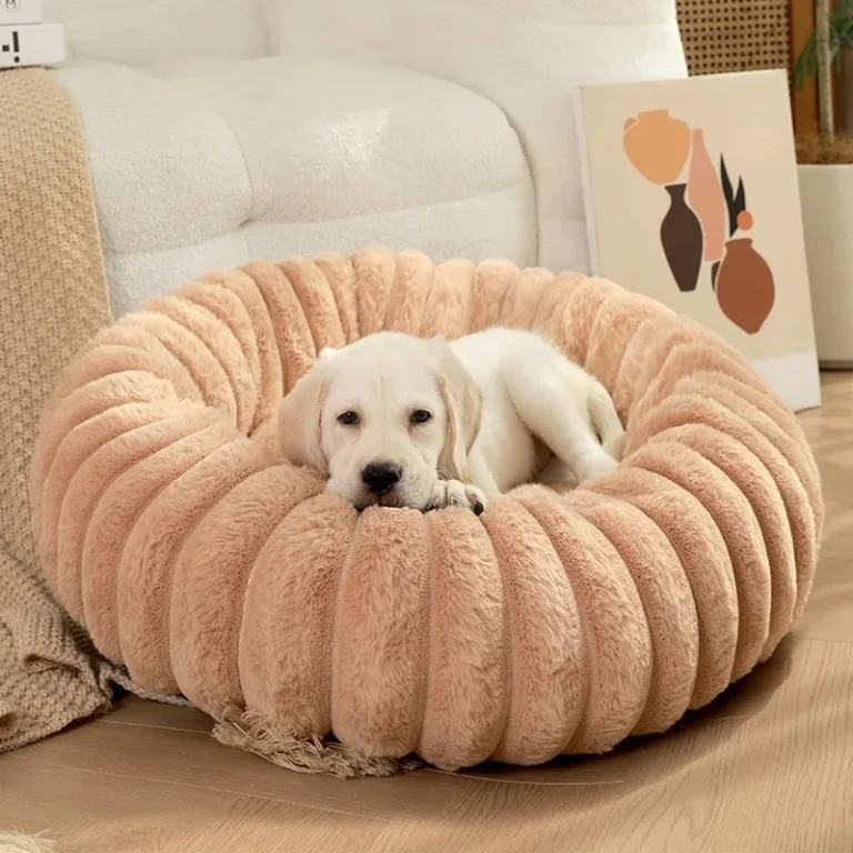 Lit pour animaux de compagnie pour chats, produits pour animaux de compagnie, fournitures pour chiots, accessoires de lit, maisons et o'ats, coussins, polymère pour chien, panier pour chaton, toutes choses 3