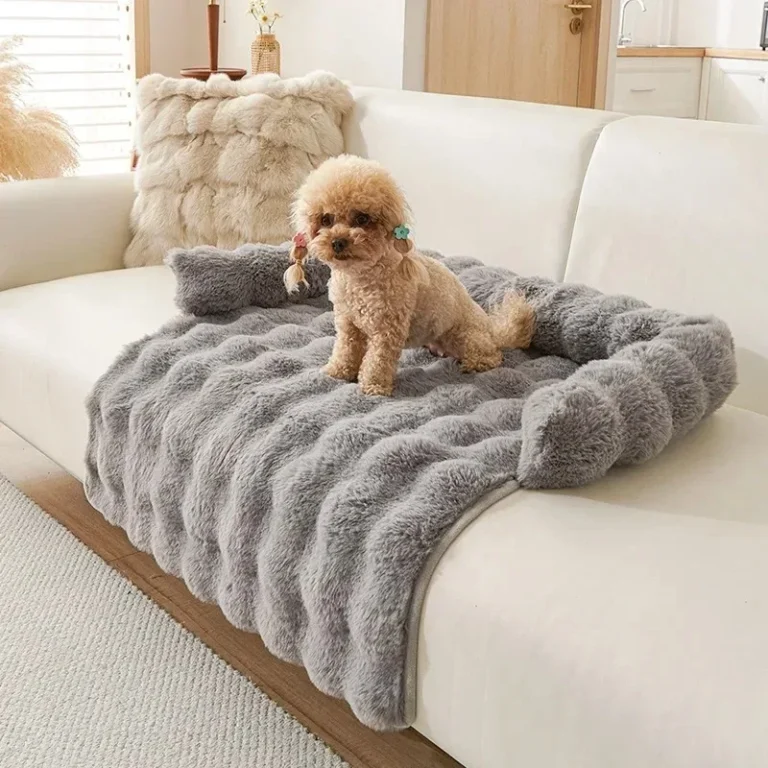 Lits pour grands chiens et petites étudiés, fournitures pour animaux de compagnie, panier, paniers moyens, accessoires pour chiots, grands coussins, literie 5