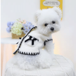 Capture d’écran 2025-01-04 à 21.49.19