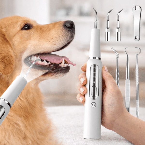 Brosse à dents électrique à ultrasons pour chien