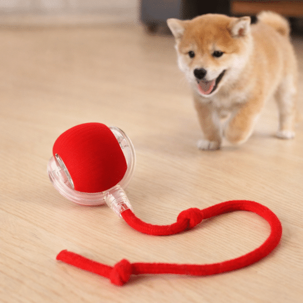 Balle roulante intelligente pour chien
