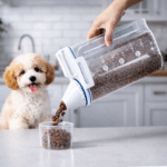 ChatGPT Image 28 févr. 2026, 14_53_23