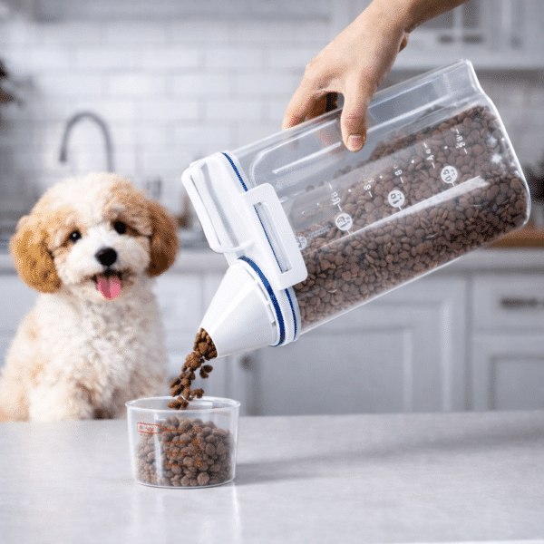 Boite à croquettes pour chien