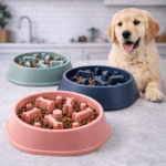 ChatGPT Image 28 févr. 2026, 15_04_50