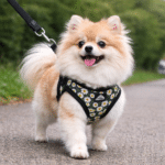 ChatGPT Image 4 févr. 2026, 16_17_48