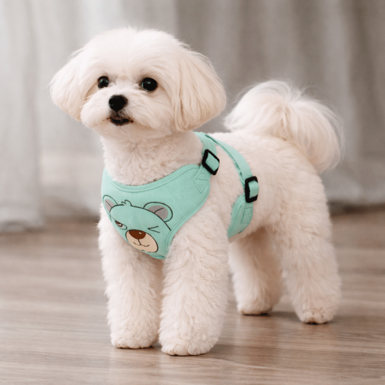 ChatGPT Image 6 févr. 2026, 17_16_41