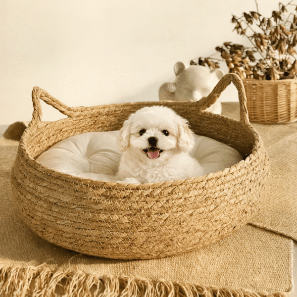 Panier en rotin avec oreilles pour petit chien