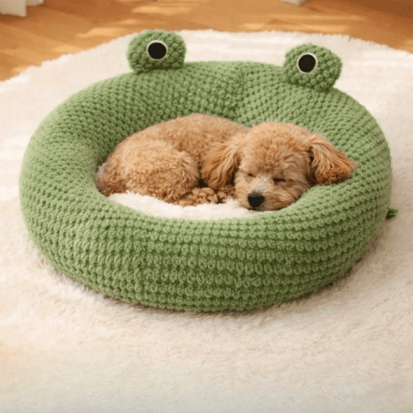 Panier petit chien rond avec œil de grenouille