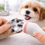 ChatGPT Image 9 mars 2026, 13_52_01