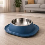 Gamelle en inox carré bleu