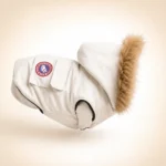 Parka tendance pour chien