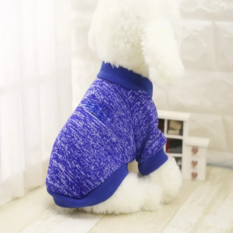 Veste chaude à col rond pour animaux de compagnie, pull mignon, fournitures pour chiens, vêtements pour chats en peluche, accessoires pour animaux de compagnie, mode printemps, automne, hiver 2