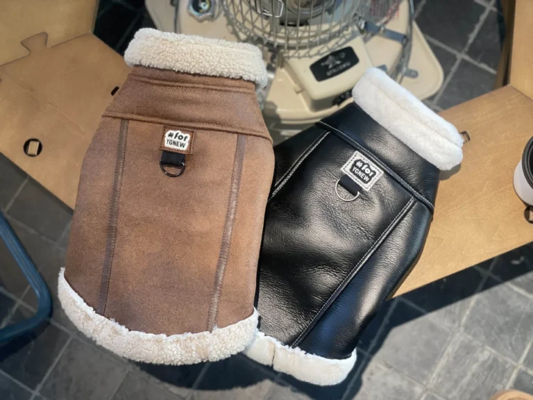 Manteau en cuir marron pour chien 5