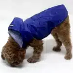 Imperméable imperméable pour chien, veste à capuche imperméable, poncho de pluie, vêtements de pluie pour animaux de compagnie avec rayure de coulée, accessoires d'extérieur pour chiens 16
