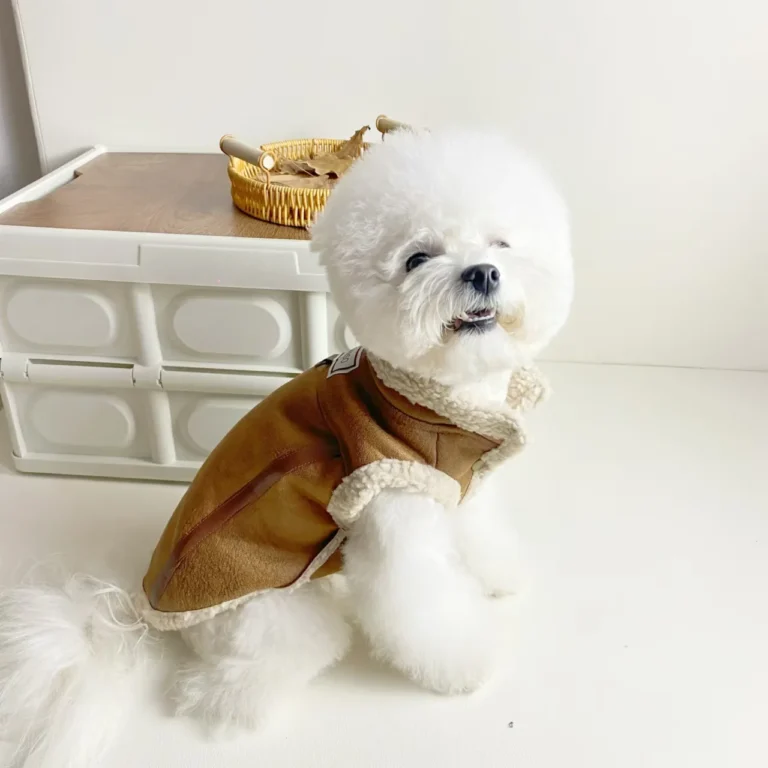 Manteau en cuir marron pour chien 2