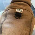 Manteau en cuir marron pour chien 15