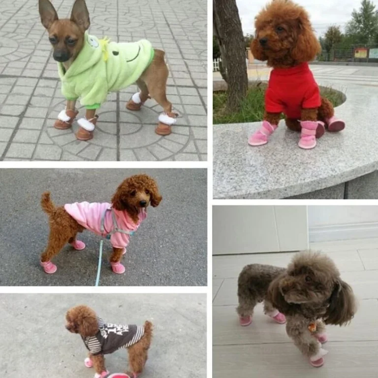 Bottes de neige épaisses en peluche pour animaux de compagnie, coton chaud, chaussures non aldes, fournitures de chaussures de sport pour petit et grand chien, anti-encrassement, métadonnées ne tombent pas, 4 pièces 5