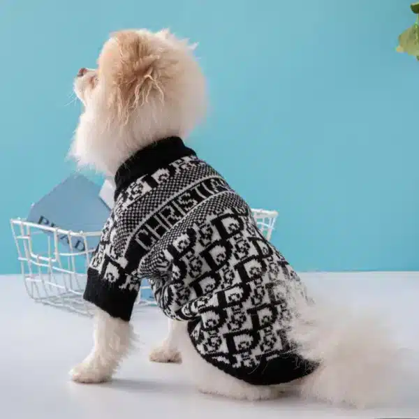 Pull Christian Dogs pour Chihuahua 1