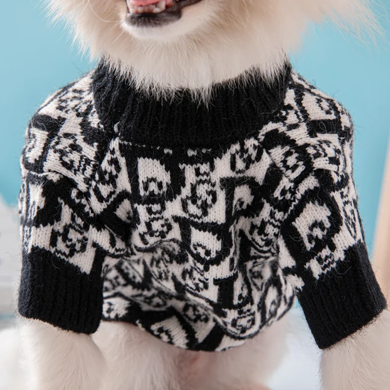 Pull Christian Dogs pour Chihuahua 3