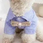 Vêtements pour chiens de compagnie chemises rayées à nœud papillon mince été bleu mode Chihuahua chemise à rayures pour petits chiens vêtements en gros 3