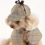 Charmant ensemble de costumes de détective pour animaux de compagnie – Cape pour chien et chat de style britannique avec chapeau, idéal pour les petites races, polyester, fermeture à bande magique 3