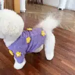 Veste en latex thermique épaissie pour chien pied-de-poule, pull à fleurs, vêtements pour animaux de compagnie, manteau de créateur, design de mode, hiver 5