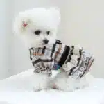 Vêtements pour animaux de compagnie, robe Maillard de printemps et d'automne, robe de princesse de mariage adaptée aux chiens de petite et moyenne taille, 1 pièce 4