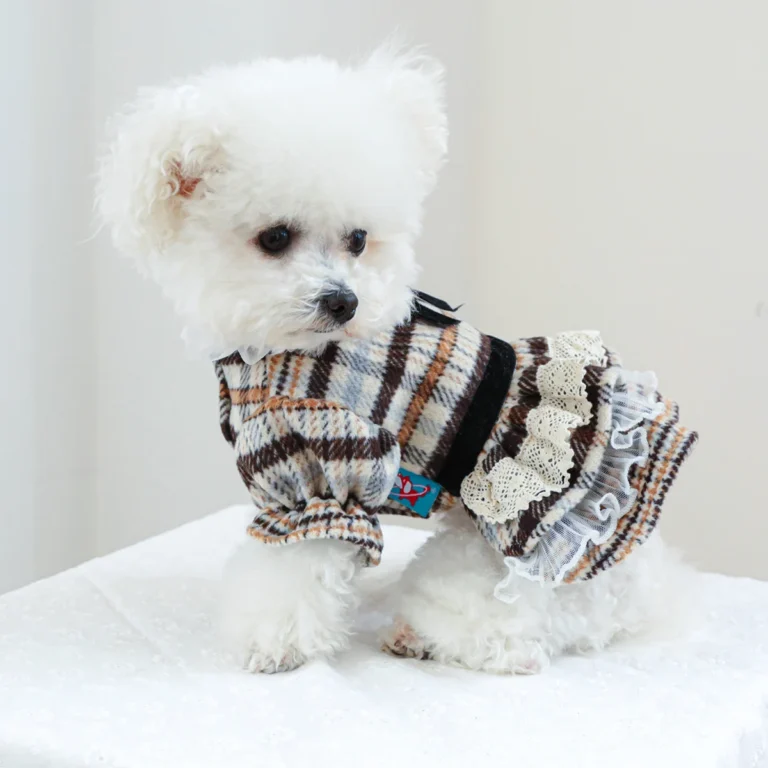 Vêtements pour animaux de compagnie, robe Maillard de printemps et d'automne, robe de princesse de mariage adaptée aux chiens de petite et moyenne taille, 1 pièce 4