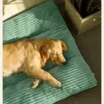 Lit pour chien chenil lavable quatre saisons grand canapé pour animaux de compagnie Plus velours côtelé épais coussin de sommeil profond tapis pour chiots pour chiens de petite à grande taille 17