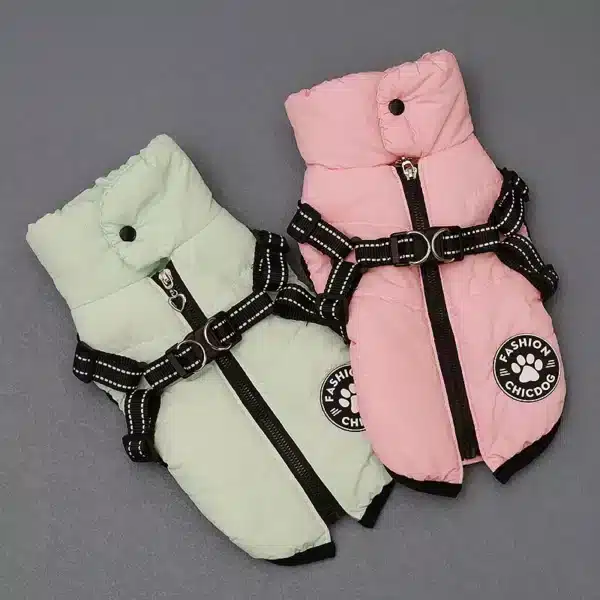 Panier motif pour petit chien 19