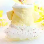 Vêtements d'hiver pour animaux de compagnie, jupe de princesse épaissie, sweat à capuche, moteurs floraux, jupe courte, manteau d'hiver pour chien et chat, vêtements pour filles, nouveau 2