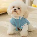 Mode chien sweats à capuche automne chien vêtements mignon imprimé chiot chiot pulls chaud doux chat sweat à capuche pour animaux de compagnie Chihuahua chien manteau 4