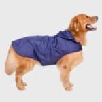 184584412-700×700-Photoroom