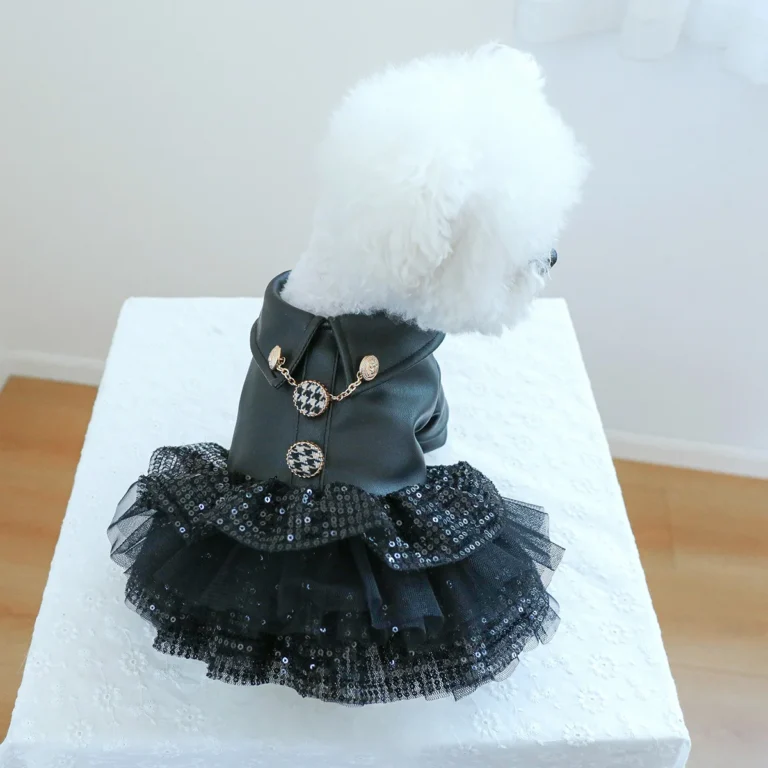 Robe de princesse en cuir à paillettes pour animaux de compagnie, vêtements pour chiens et chats, beau punk, convient aux chiens de petite et moyenne taille, printemps et automne, 1PC 5