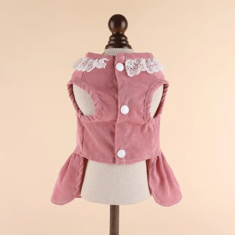 2025 nouveau printemps été chien robe chat princesse robe mignonne jupe petit chien chat mariage mode jupe chiot vêtements Costume pour animaux de compagnie 21