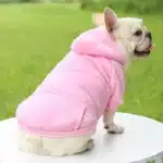 Vêtements d'hiver pour petits chiens, manteau à capuche pour chiot et chat, veste bouledogue français, Chihuahua Yorkie, Costume carlin, fournitures pour animaux de compagnie 19