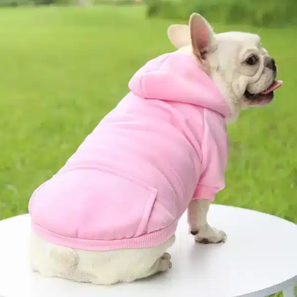 Vêtements d'hiver pour petits chiens, manteau à capuche pour chiot et chat, veste bouledogue français, Chihuahua Yorkie, Costume carlin, fournitures pour animaux de compagnie 19