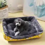 Panier avec motif pour petit chien 5