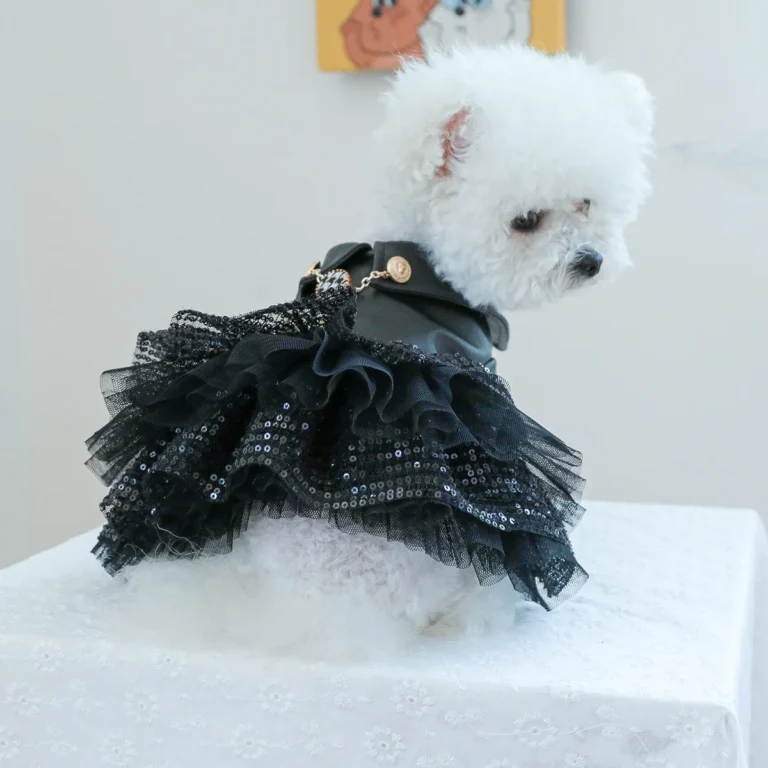 Robe de princesse en cuir à paillettes pour animaux de compagnie, vêtements pour chiens et chats, beau punk, convient aux chiens de petite et moyenne taille, printemps et automne, 1PC 3