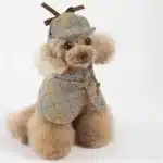 Charmant ensemble de costumes de détective pour animaux de compagnie – Cape pour chien et chat de style britannique avec chapeau, idéal pour les petites races, polyester, fermeture à bande magique 1