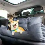 Grand porte-chien en coton épais amélioré 2024, housse de siège de voiture pour chien de voyage, hamac pliant, sac de transport pour animaux de compagnie pour chats et chiens 2