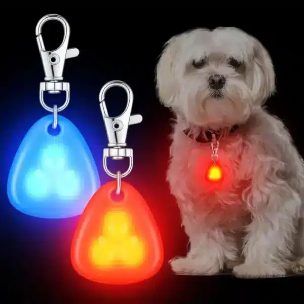 Collier pendentif LED pour animaux de compagnie collier de chien étanche lumière pour la sécurité de la marche en plein air collier de chien LED en Silicone étiquette de chien batterie incluse 1